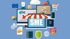 Survey to Explore the Preparedness of EU SMEs for Cybersecurity Challenges 